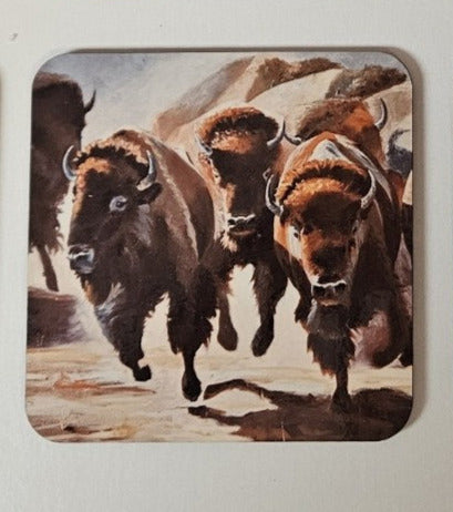 " Thundering Herd " Bison Coaster