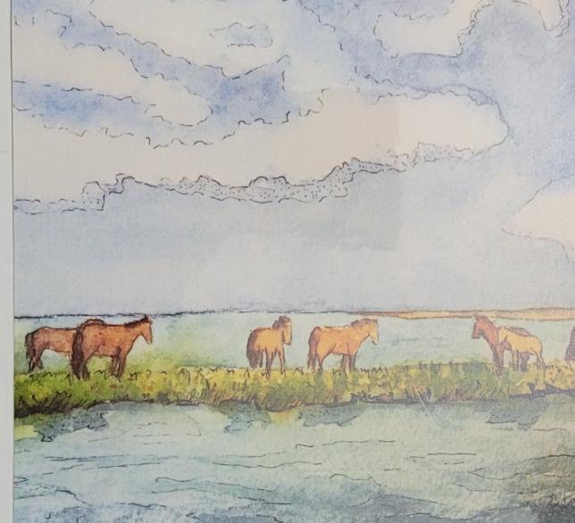 " Wild Ponies" Blank Greeting Card