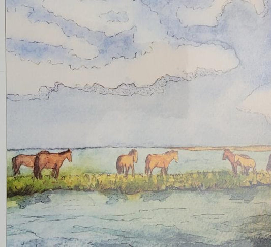 " Wild Ponies" Blank Greeting Card