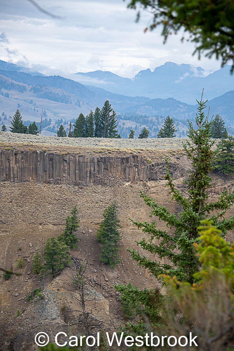 Lava Columns near Calcite Springs Yellowstone National Park, Wyoming Blank Card, Envelope included