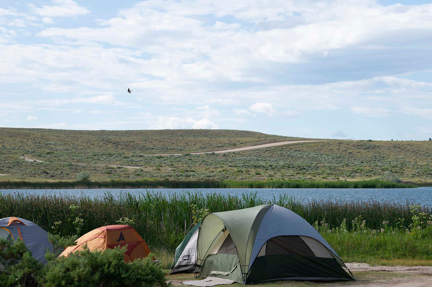 " Camping At Saratoga Lake " Post Card Photographer: Elizabeth Wood Tents set up by Saratoga Lake in Saratoga Wyoming  Post cards   4" long x 6" wide x 1/16" high  Title on back of post card with artist name and information