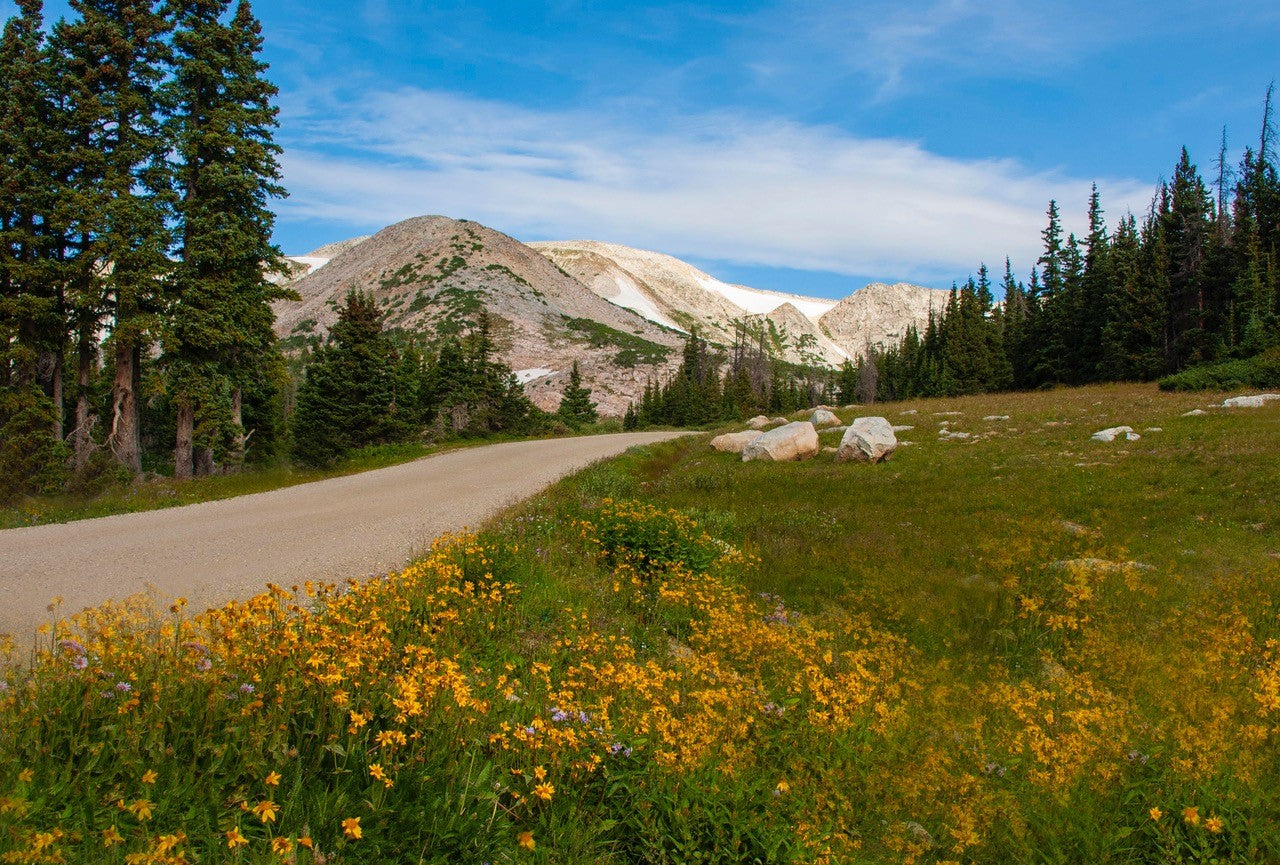 Sugarloaf Mountain in the Snowy Range Mountains